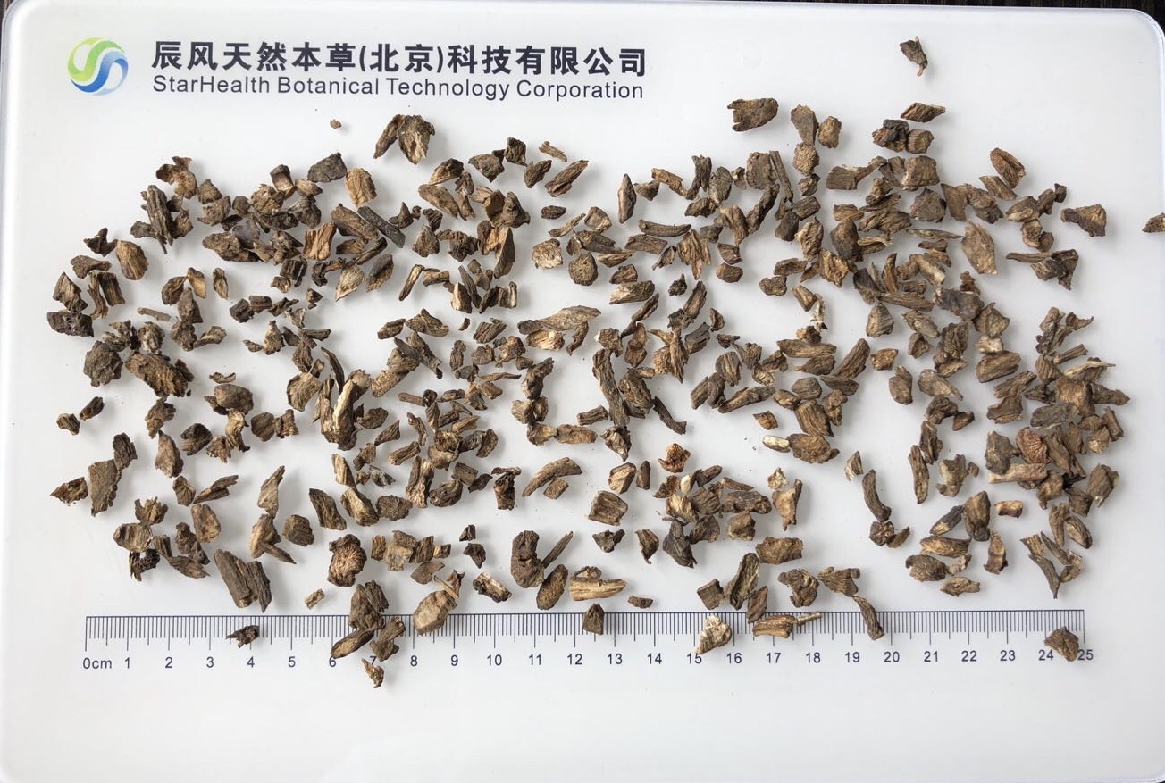 牛蒡根 - Burdock Root